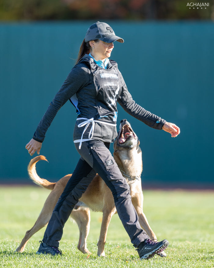 Video Coaching for Competition Sports and Pet Dog Obedience