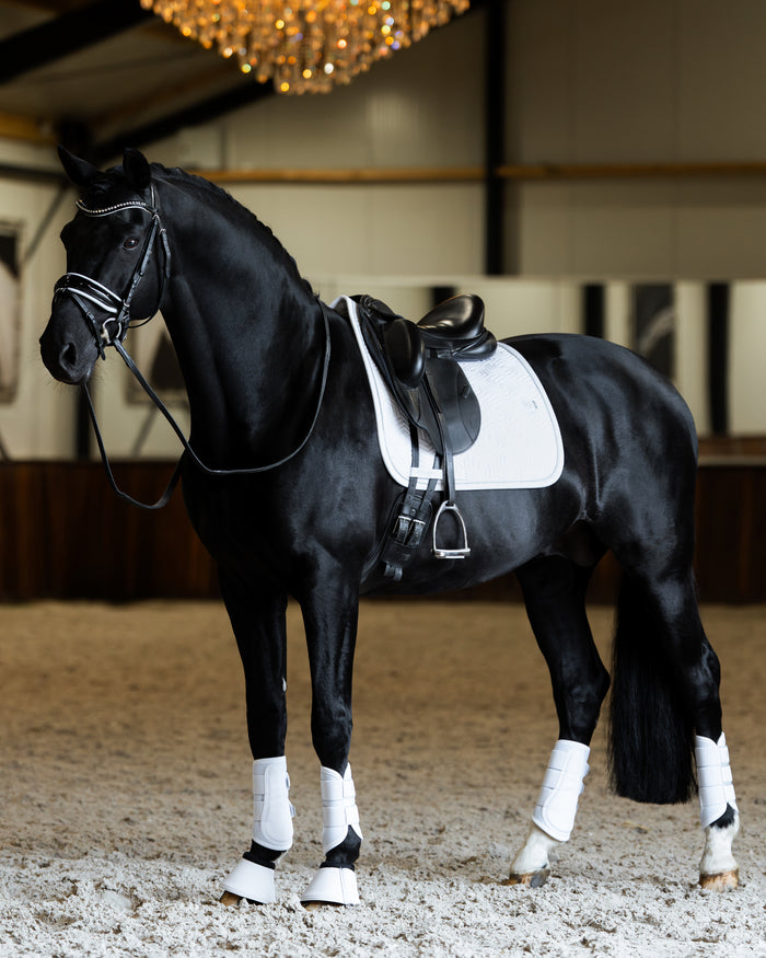White Aurora Competition Saddle Pad – White