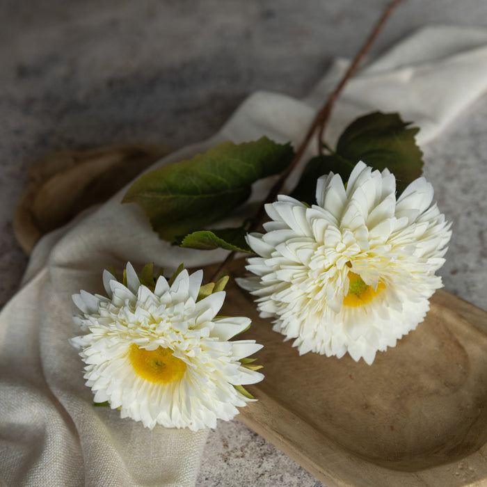 White Mum Spray 26"