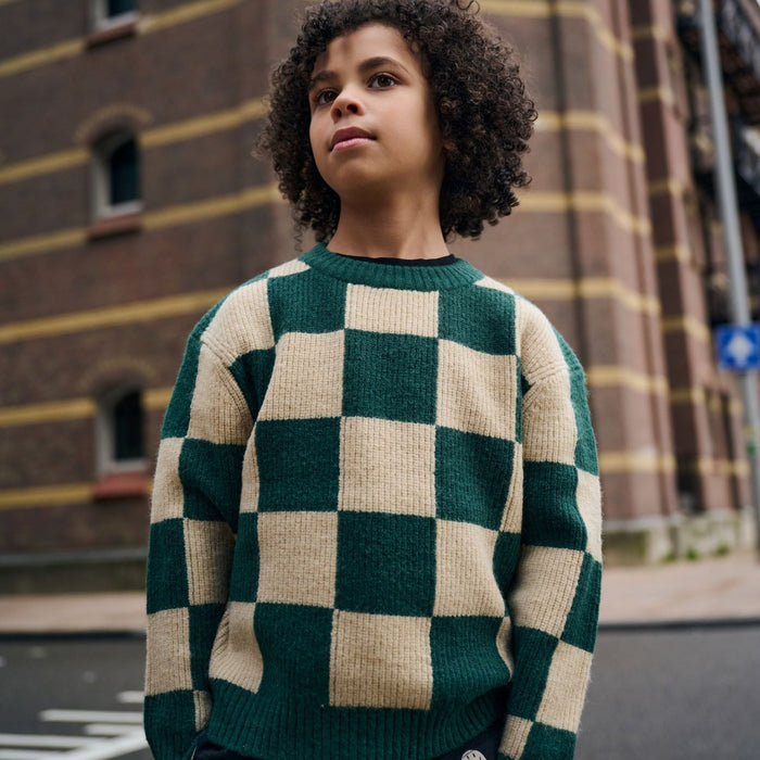 Williamsburg Knitted Sweater June Bug