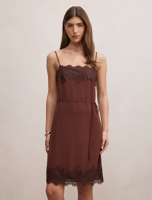 Wisteria Lace Detail Mini Dress Bitter Chocolate Forever New